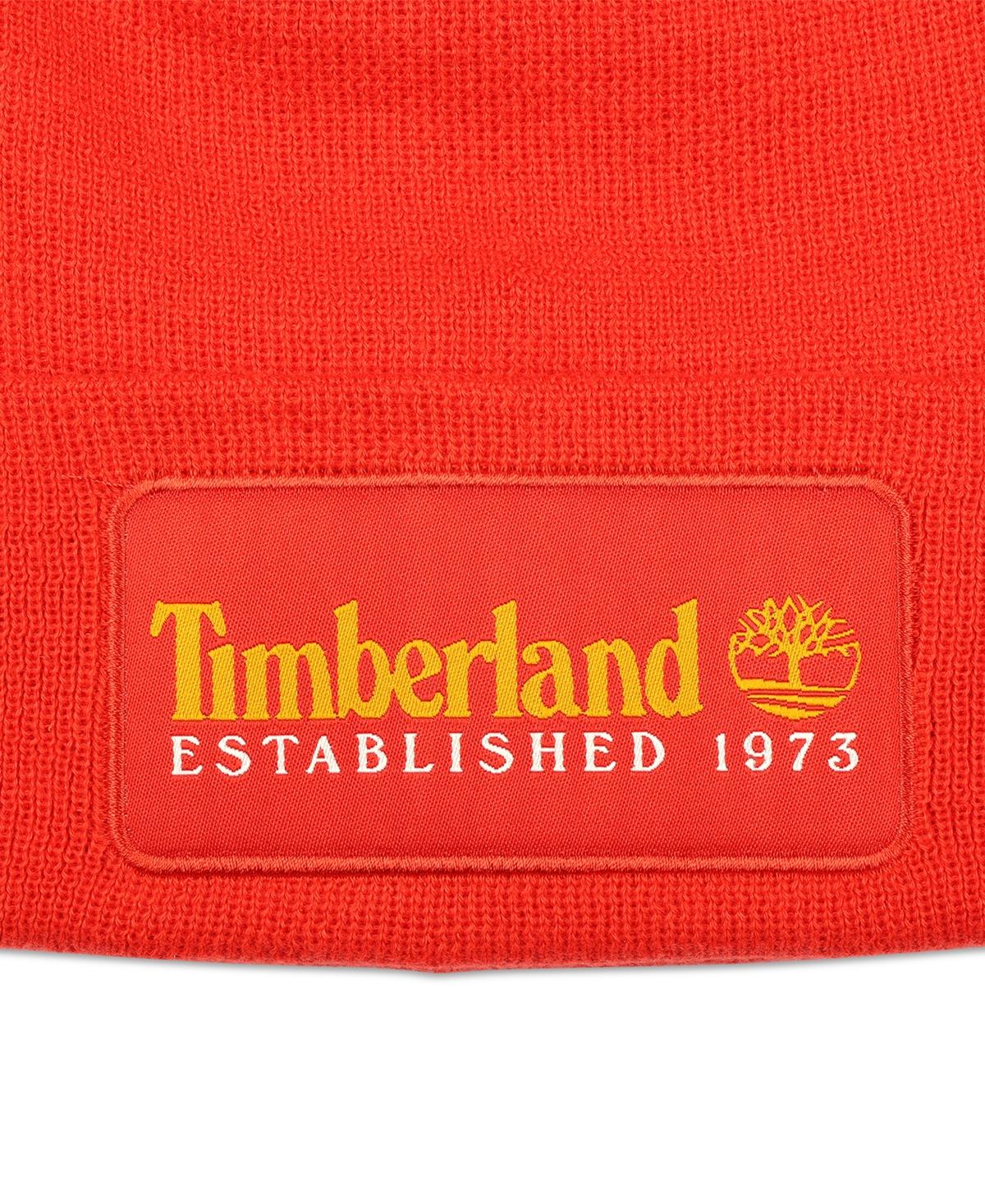 Men's Established 1973 Logo Patch Beanie