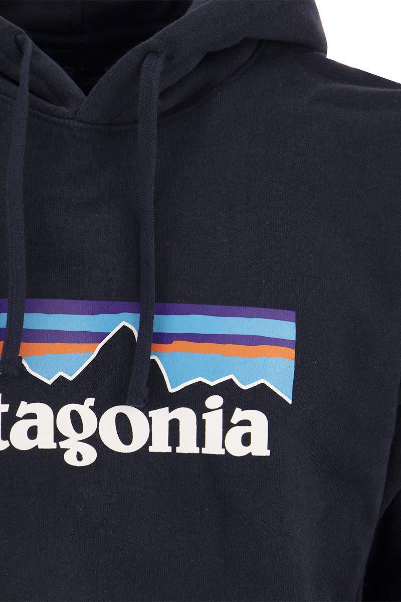 Patagonia Cotton Blend Hoodie in Blue