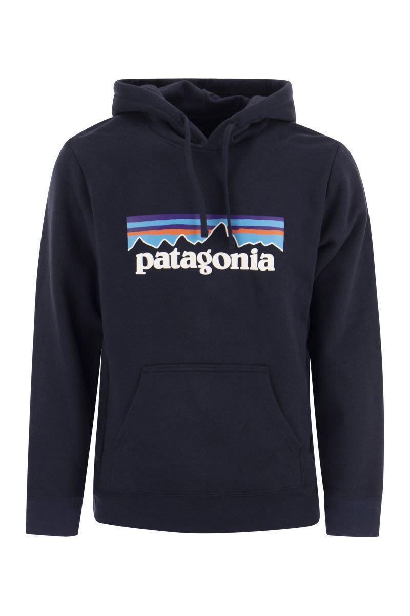 Patagonia Cotton Blend Hoodie in Blue