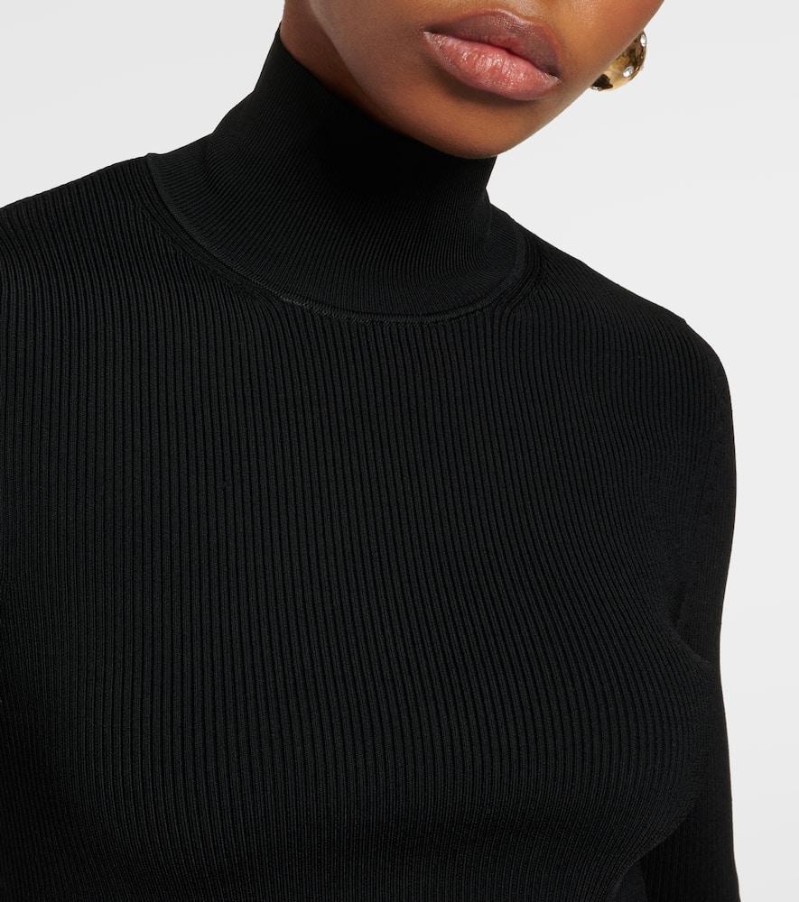 Ruffled turtleneck top