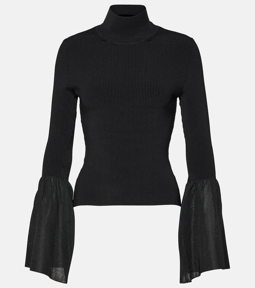 Ruffled turtleneck top