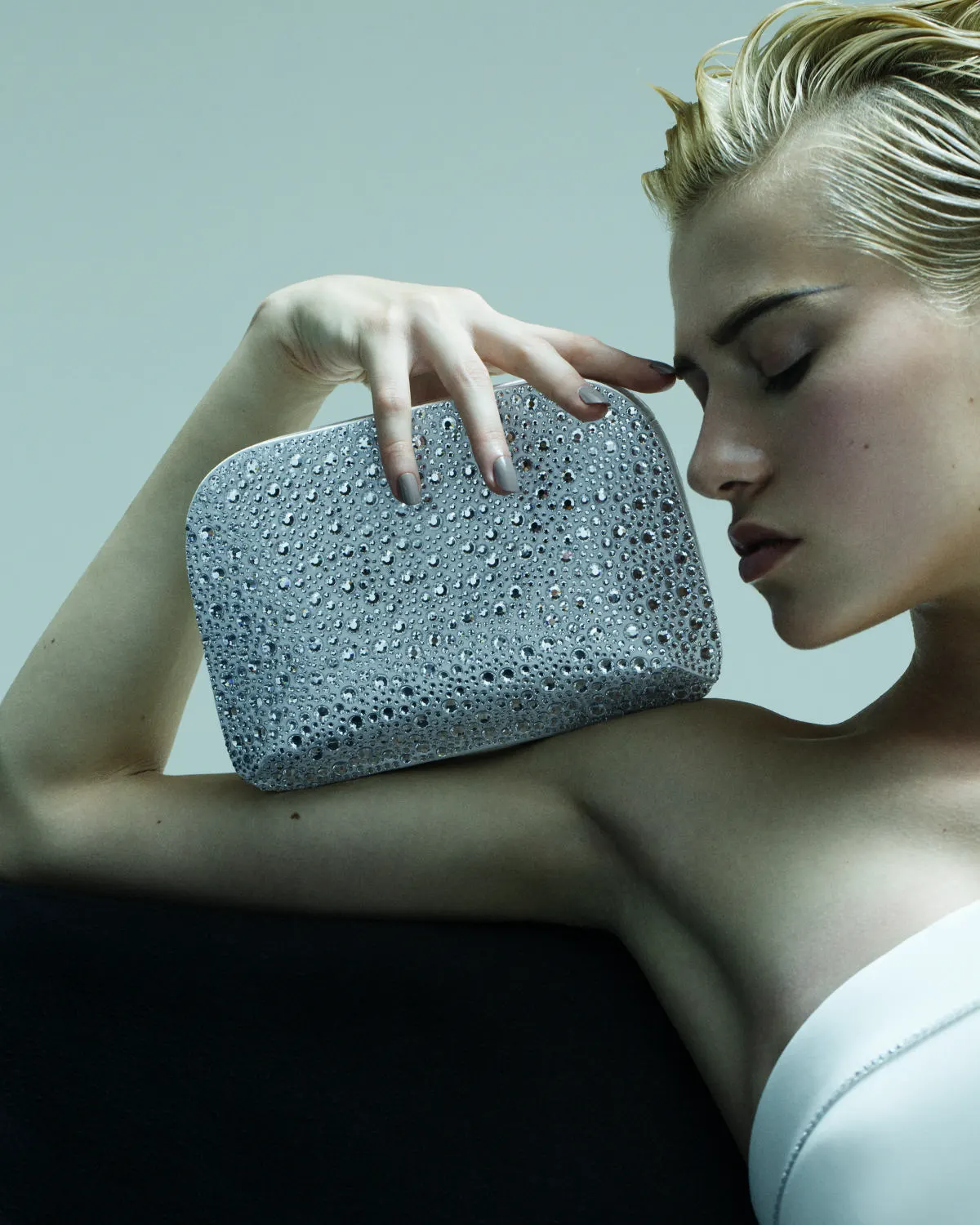 Crystal Clutch Bag