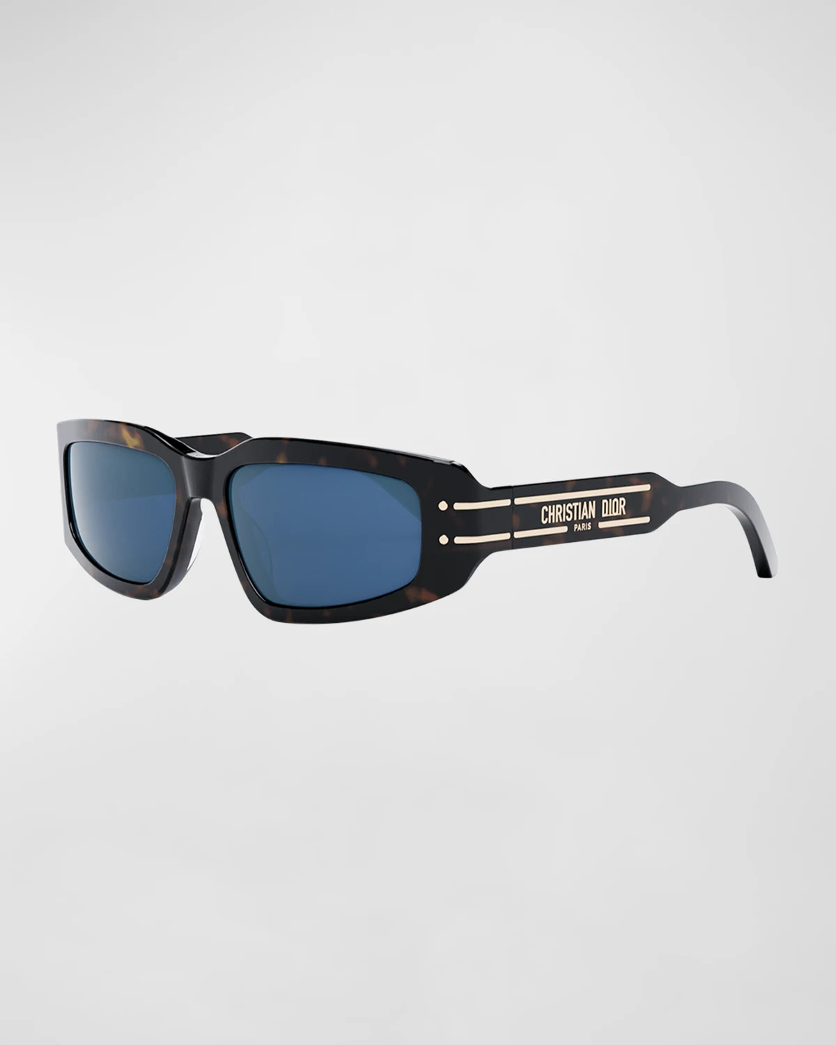 DiorSignature S9U Sunglasses 