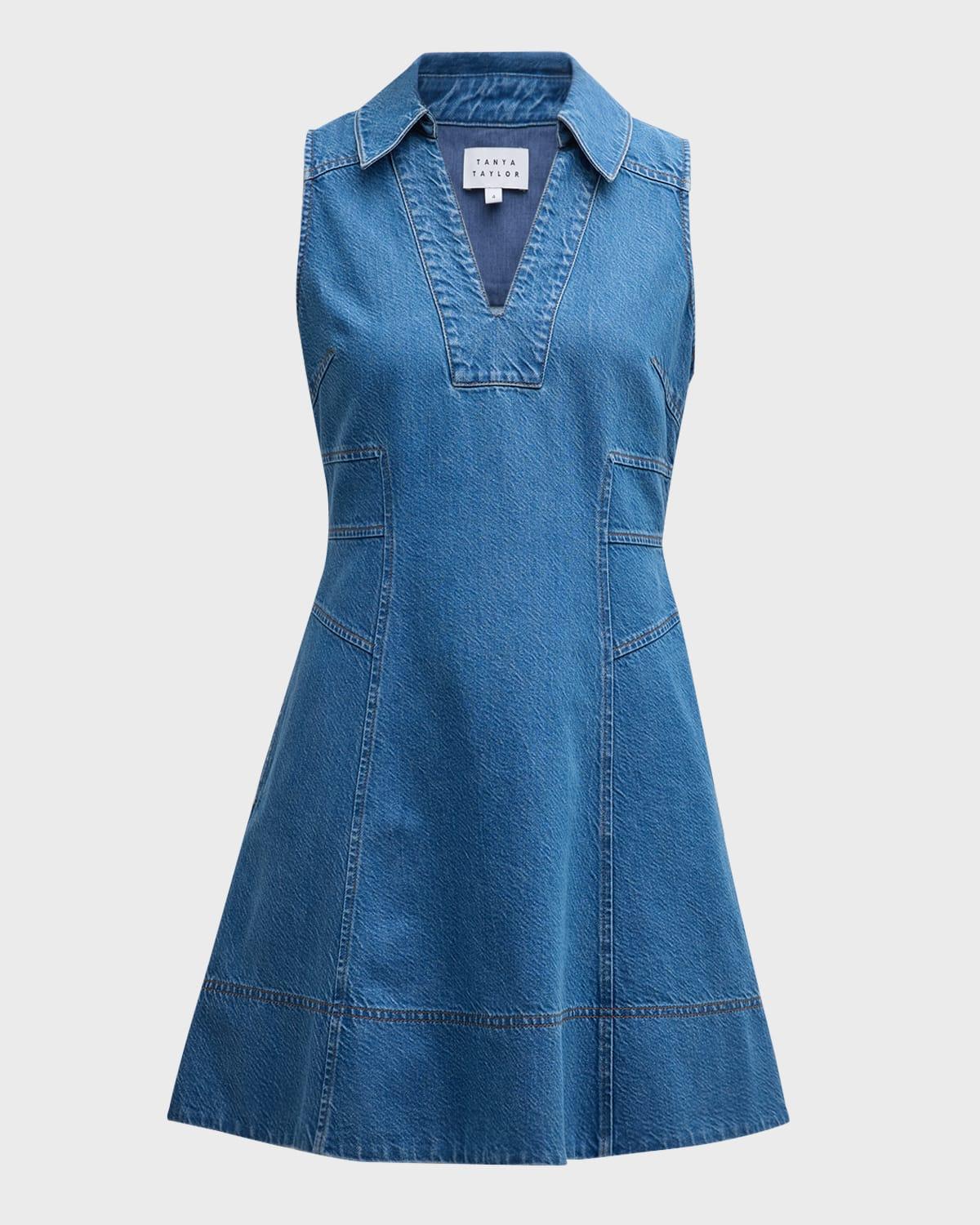 Reinata Denim Sleeveless V-Neck Mini Dress