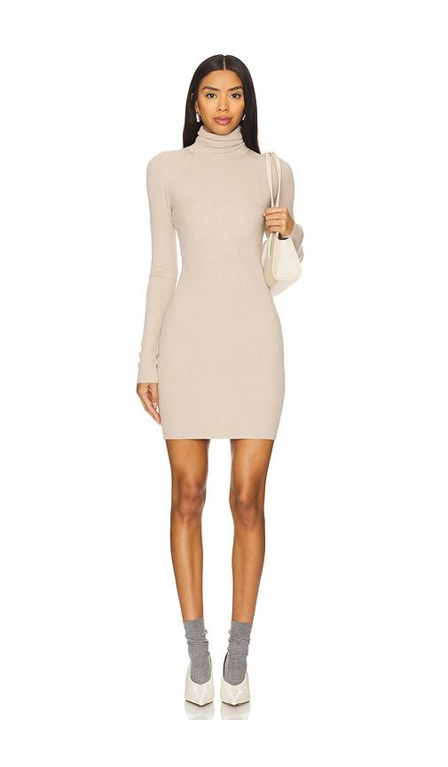 Silk Turtleneck Mini Dress