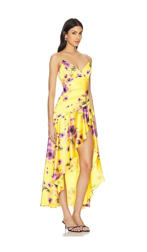 Sorella Printed Midi Dress