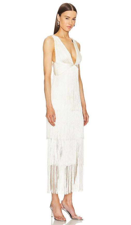 x REVOLVE Skylar Maxi Dress