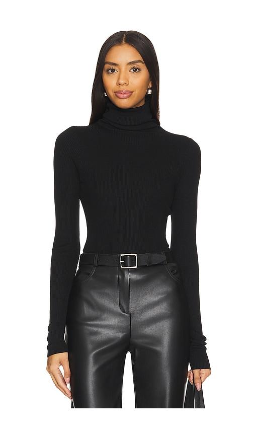 Silk Sweater Rib Turtleneck