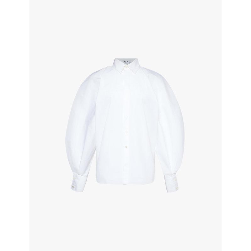 Split-sleeve straight-point collar regular-fit cotton shirt