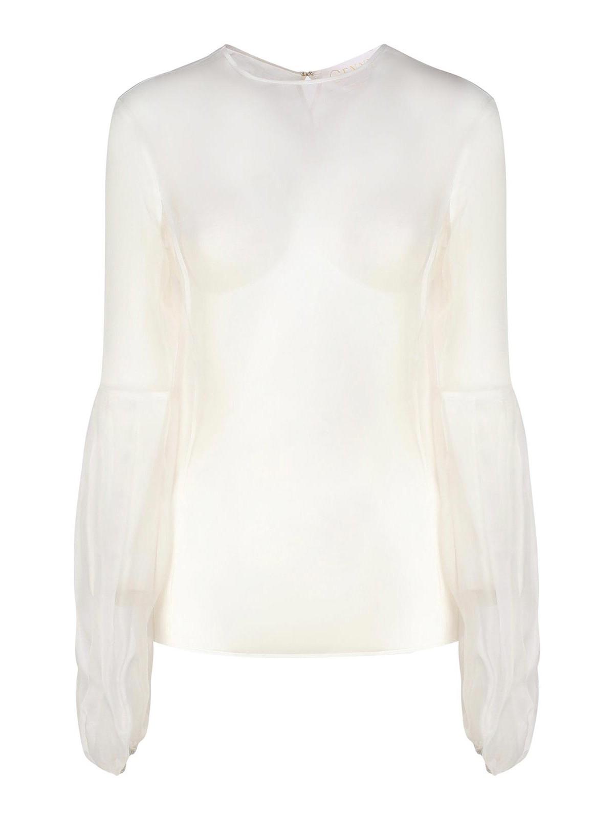 Transparent Top With Wide Sleeves